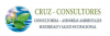 Cruz-Consultores Ltda.